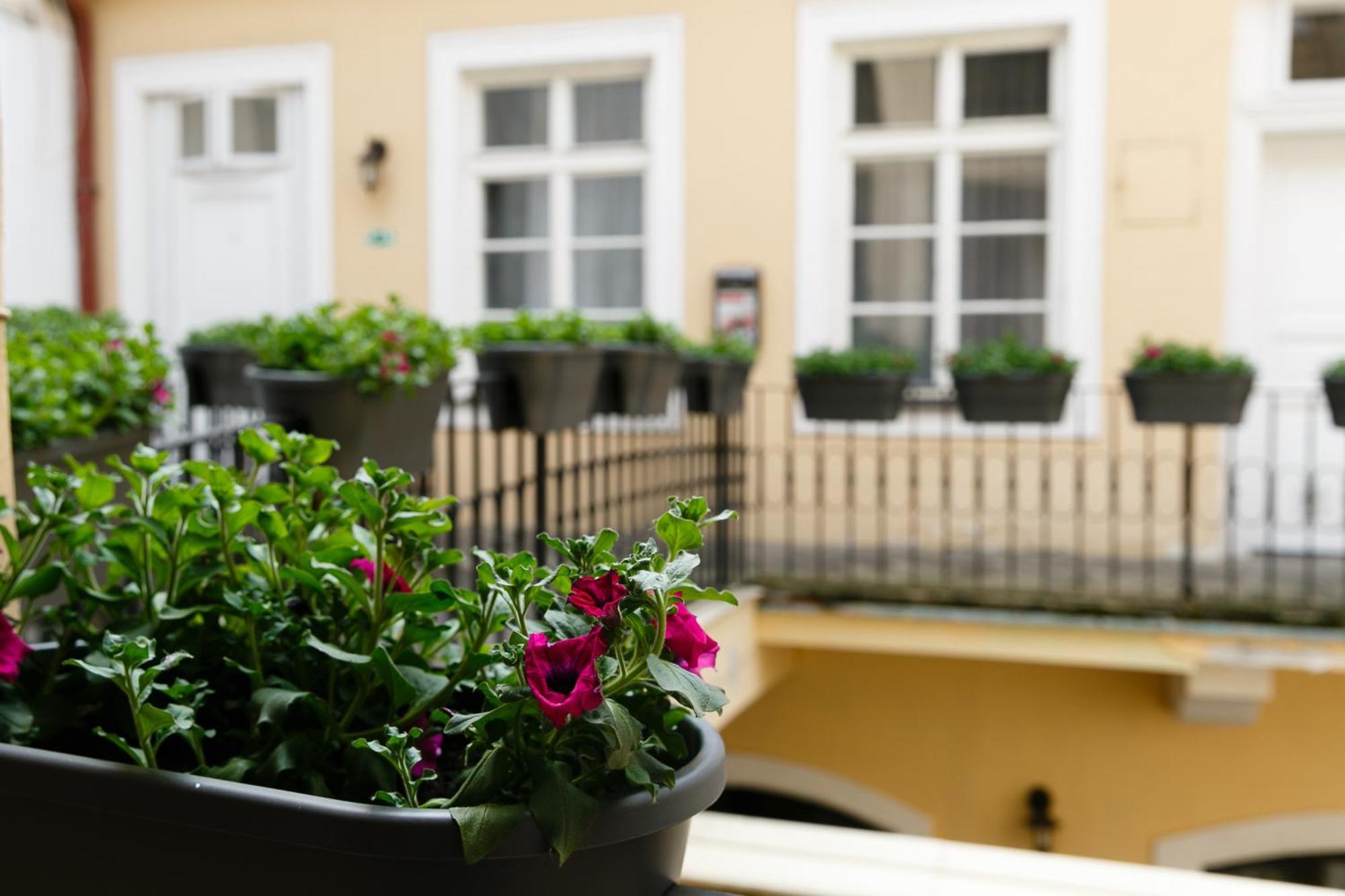 Economy Single Room,706133884:JPEG